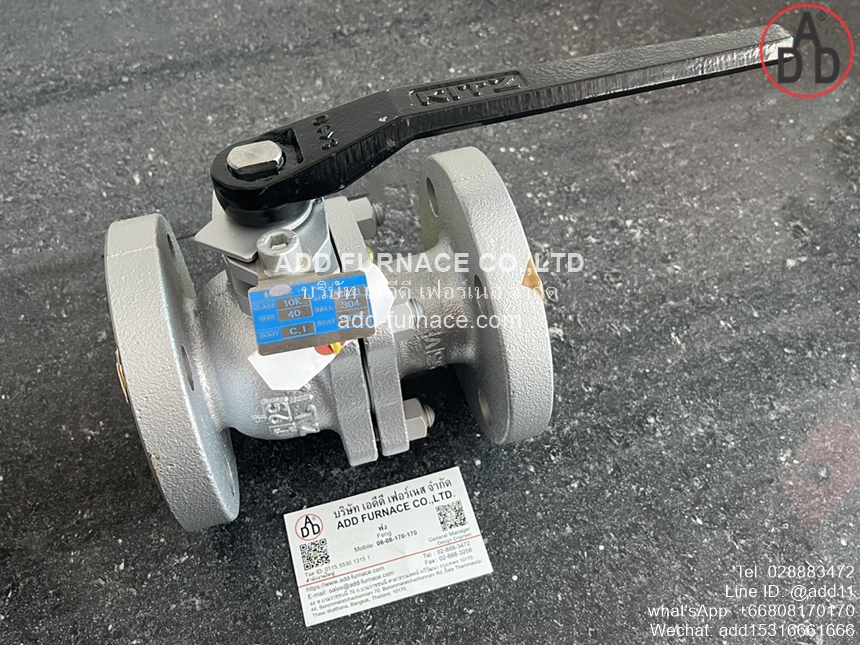 KITZ Ball Valve 10FCTB (1)